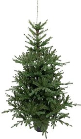 Brad artificial în ghiveci 3D Molid Tirolez 120cm