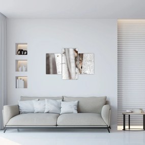 Tablou - Lup (90x60 cm)