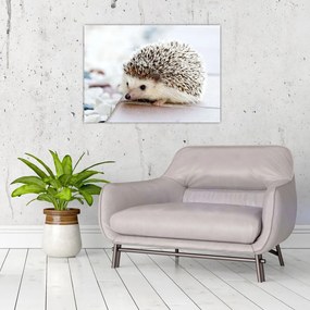 Tablou pe sticlă cu arici (70x50 cm)