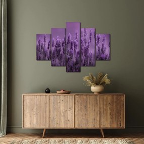 Tablou - Lavanda (150x105 cm)