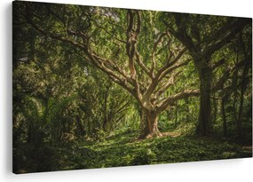 Tablou cu copaci (90x60 cm)