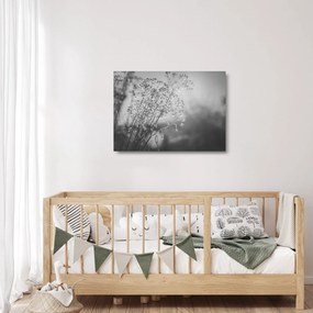 Tablou pe sticlă - Pajiște după ploaie (70x50 cm)