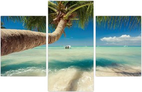 Tablou - Mare curată cu palmier (90x60 cm)