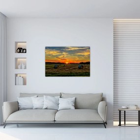 Tablou - Baloți din sat (90x60 cm)