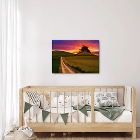 Tablou cu câmp și cerul colorat (70x50 cm)