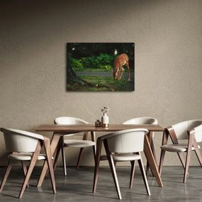 Tablou cu pui de cerb (70x50 cm)