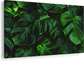 Tablou cu frunze Monstery (90x60 cm)