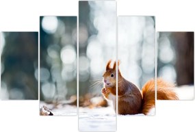Tablou - Veveriță (150x105 cm)