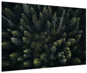 Tablou - Pădure (90x60 cm)