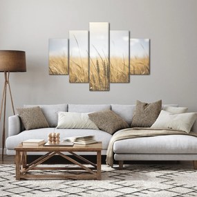 Tablou cu grâne (150x105 cm)