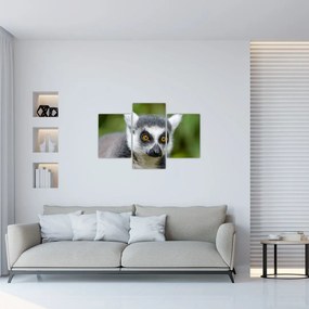 Tablou cu lemur (90x60 cm)