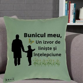 Cadou pentru Bunic - Perna Personalizata Bunicul Meu Izvor de Liniste cu Fluture si Baietel, 40x40 cm, Verde, Husa Detasabila, Perna Inclusa, BEKZ®