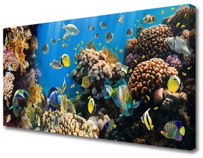 Tablou pe panza canvas Coral Reef Natura Multi