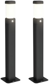 Outsunny Set de 2 lampi de exterior, stalpi luminoase LED, Etanche IP65, Lumina pentru alei si drumuri, negru | Aosom Romania