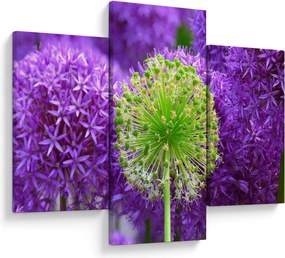 Tablou cu floare (90x60 cm)