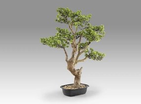 Planta artificiala, SOKAN BONSAI 81cm