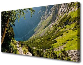 Tablou pe panza canvas Mountain Natural Pădurea Verde Gri