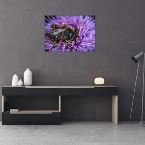Tablou pe sticlă cu albina pe floare (70x50 cm)