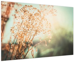 Tablou - Plante de luncă (90x60 cm)