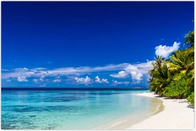 Tablou - Plaja tropicală (90x60 cm)