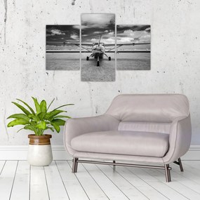 Tablou - Avion alb-negru și alb-negru (90x60 cm)