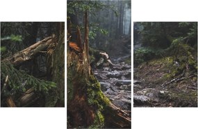 Tablou - În pădure (90x60 cm)