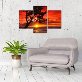 Tablou - Apus de soare (90x60 cm)