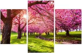 Tablou - Cireși înfloriți, Hurd Park, Dover, New Jersey (90x60 cm)