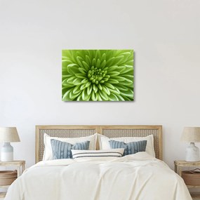 Tablou pe sticlă - Imagine macro a unei plante (70x50 cm)