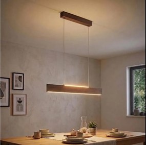 Eglo 39346 - Lustră LED pe cablu CLIMENE LED/17W/230V + LED/4,2W nuc