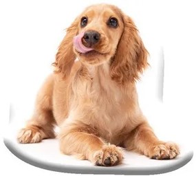 Câine Spaniel pernă decorativă 40x40 cm Velur