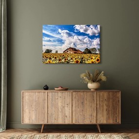 Tablou cu câmp de floarea soarelui (90x60 cm)