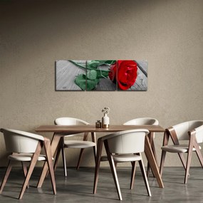 Tablou - Trandafir roșu cu tulpină verde (cu ceas) (90x30 cm)