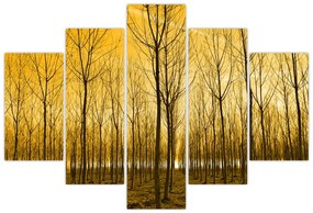 Tablou cu pădure în apus de soare (150x105 cm)