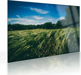 Tablou pe sticlă cu linca și pădure (70x50 cm)