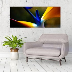 Tablou - Floare exotică (120x50 cm)