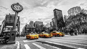 Fototapet - Taxi (254x184 cm)