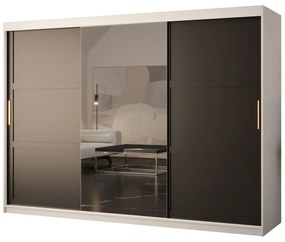 Dulap de haine Riven 2 250 (alb mat + negru mat) (cu oglindă). 1064186