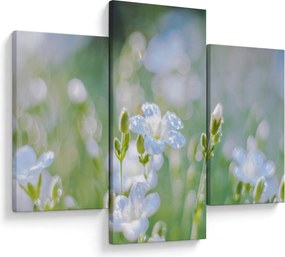 Tablou - Flori delicate (90x60 cm)