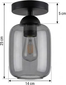 BRILAGI - Plafonieră LED R GLASS 1xE27/60W/230V diam. 14 cm negru/gri fumuriu