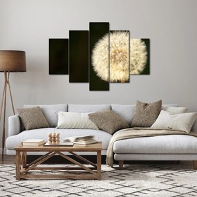 Tablou cu păpădie gri (150x105 cm)