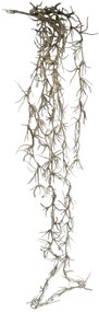 Ghirlanda decorativa BRIGHT, Auriu, 55cm