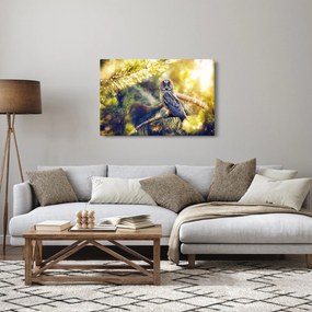 Tablou - Bufniță în copac (90x60 cm)
