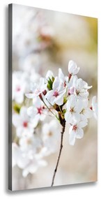 Imprimare tablou canvas Flori de cireș