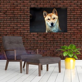 Tablou cu câine (90x60 cm)