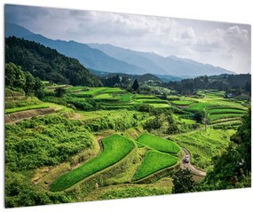 Tablou cu câmp de orez (90x60 cm)