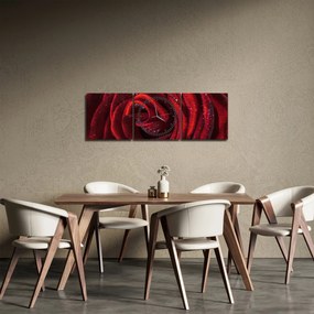 Tablou - Trandafir roșu cu picături de rouă (cu ceas) (90x30 cm)