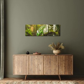 Tablou cu șopârlă (cu ceas) (90x30 cm)