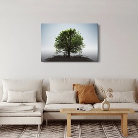 Tablou - Copacul singuratic (90x60 cm)