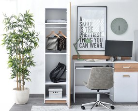 Dulap cu rafturi Congresual C02 (alb). 1137210